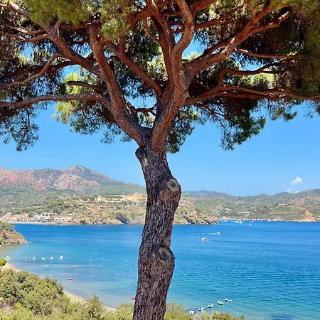 Apartamento Casa Anna - Capo Perla *