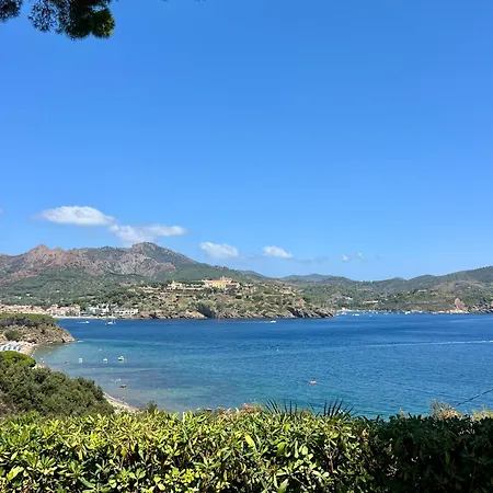 Apartamento Casa Anna - Capo Perla Capoliveri (Isola d'Elba)